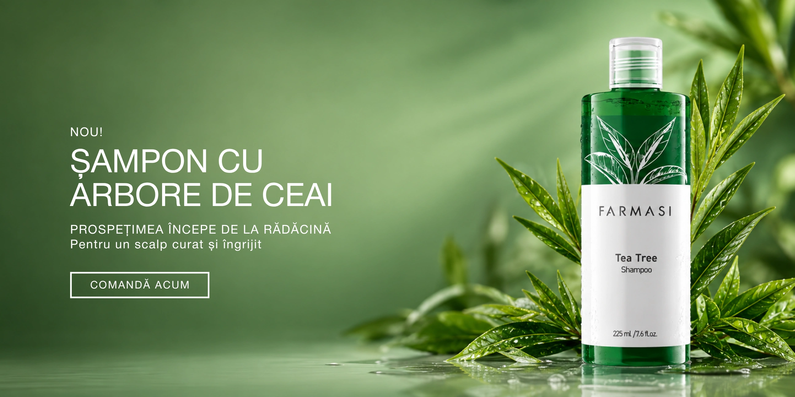 Tea Tree Shampoo