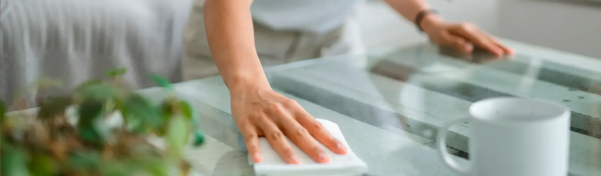 Mr. Wipes