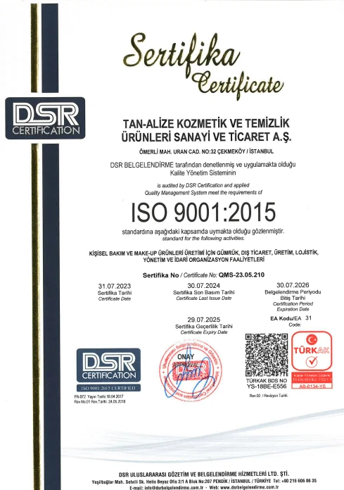 ISO 9001